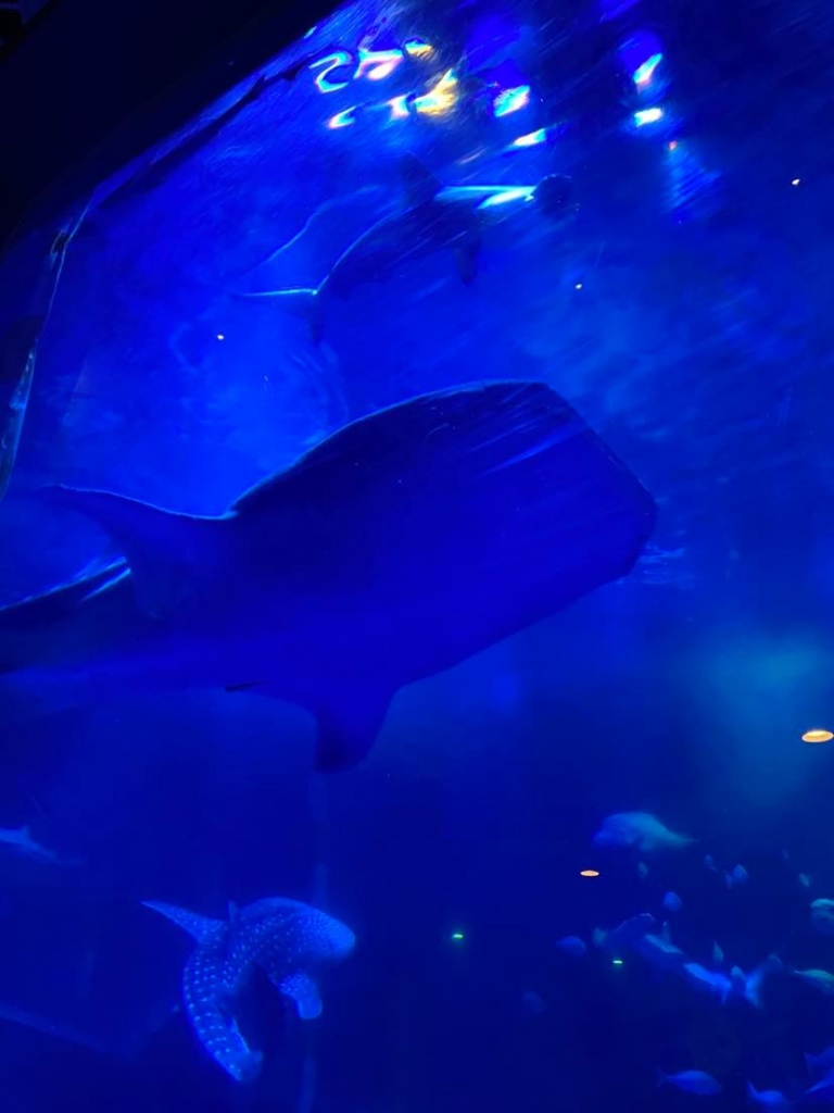 カップルで楽しみたい 金沢から一足伸ばして観光すべきコース３選 旅音